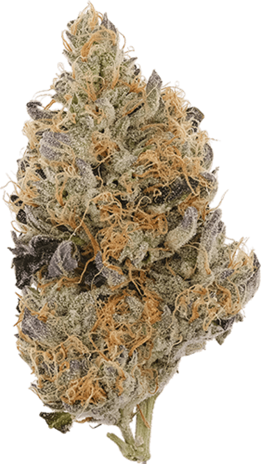 Triangle Mints image 1